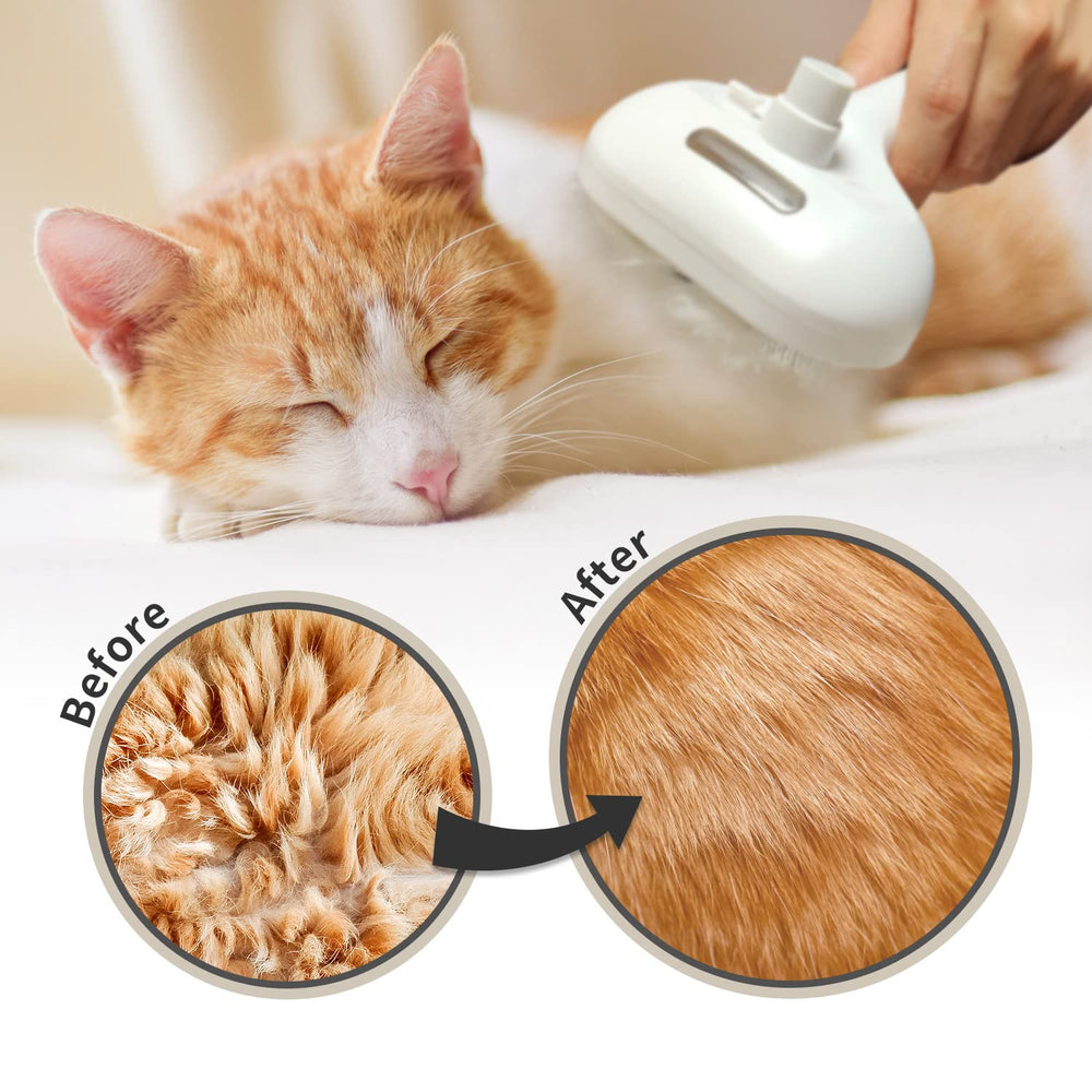 Pecait Brosse Vapeur Chat 3-en-1 – solution tout-en-un pour poils et poussière
