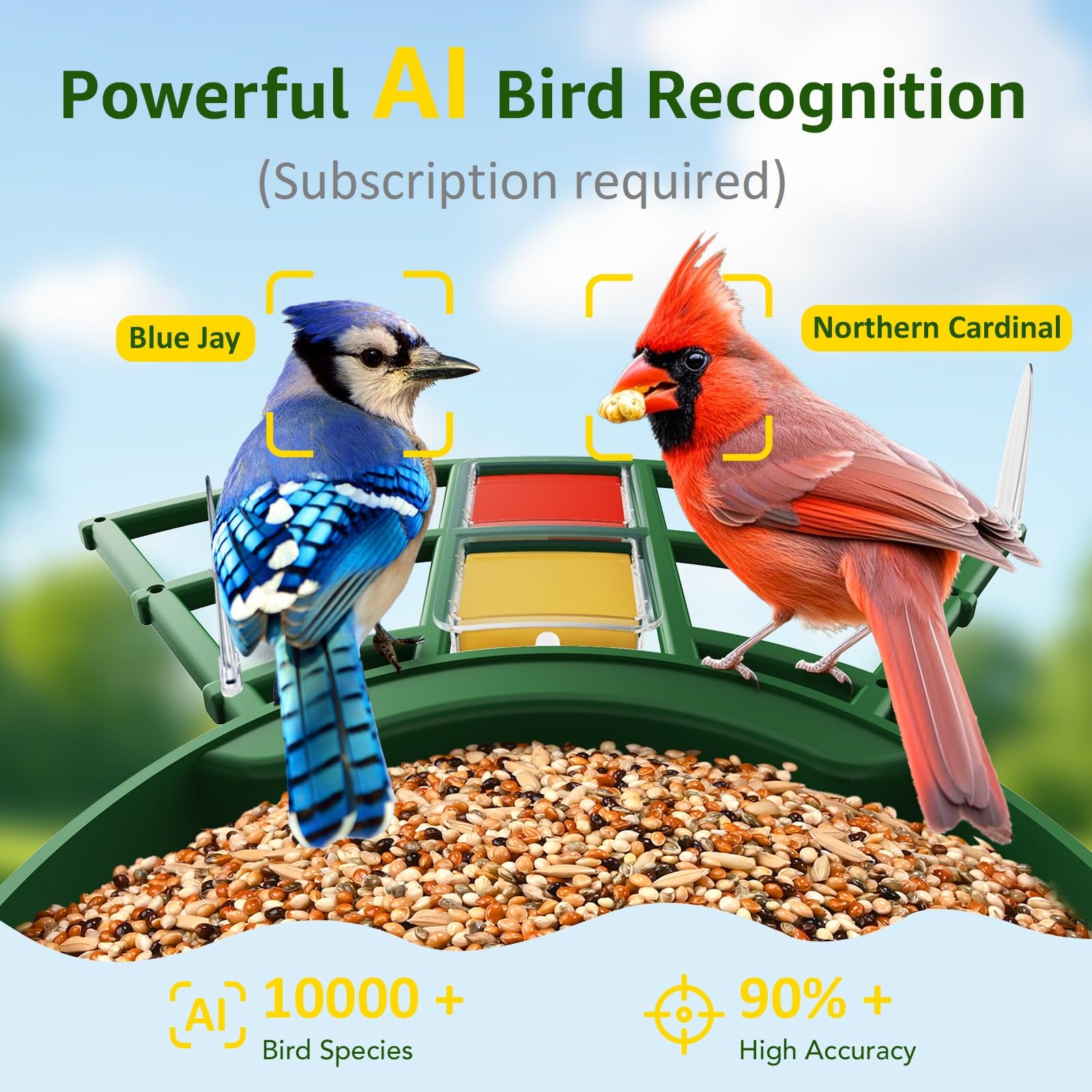PeckCam Panneau solaire pour alimentation continue