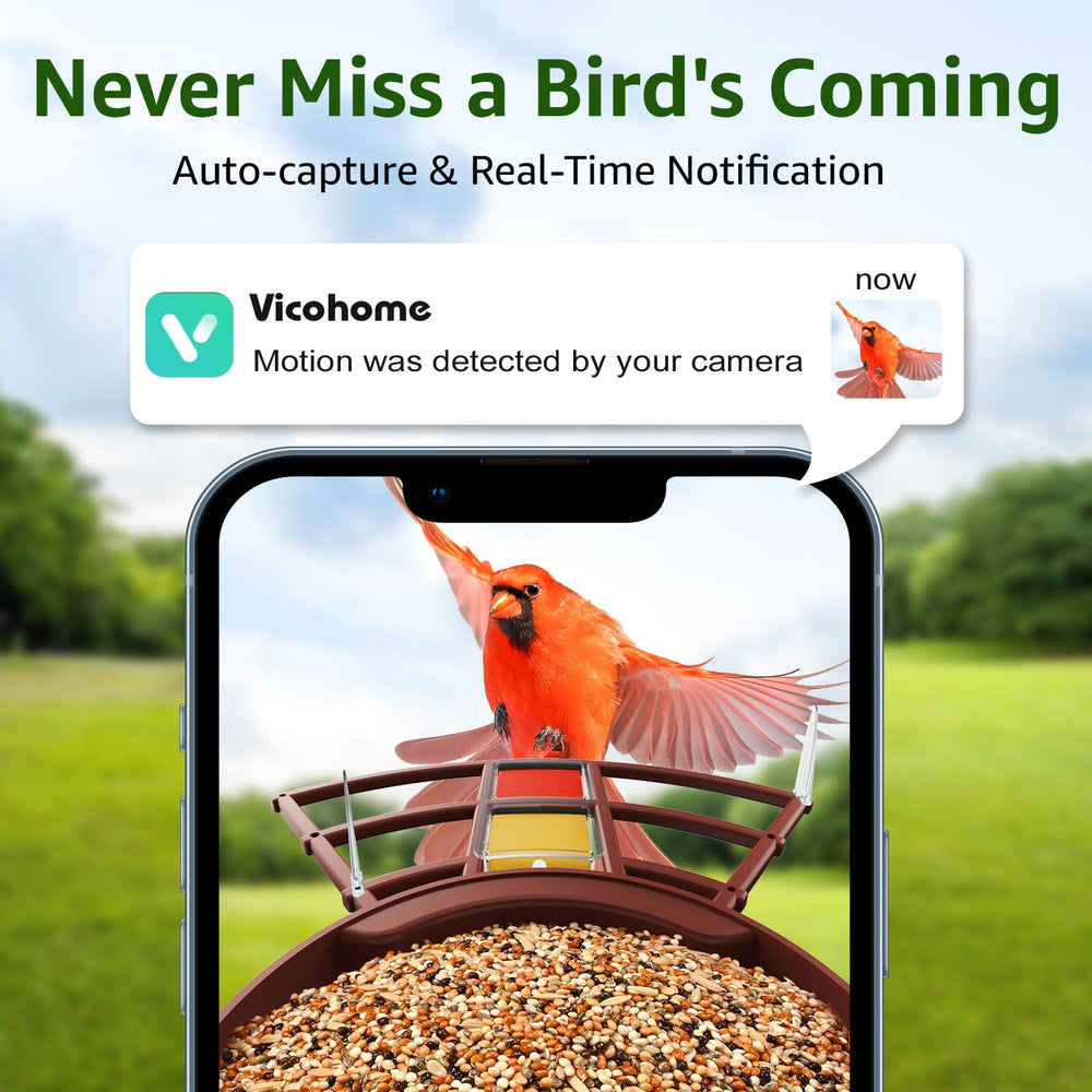 PeckCam - partage simultané avec 4 spectateurs pour la famille
