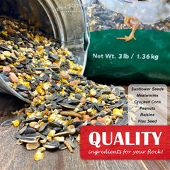 Pecking Order 9328: graines de tournesol riches en huiles saines et antioxydants.