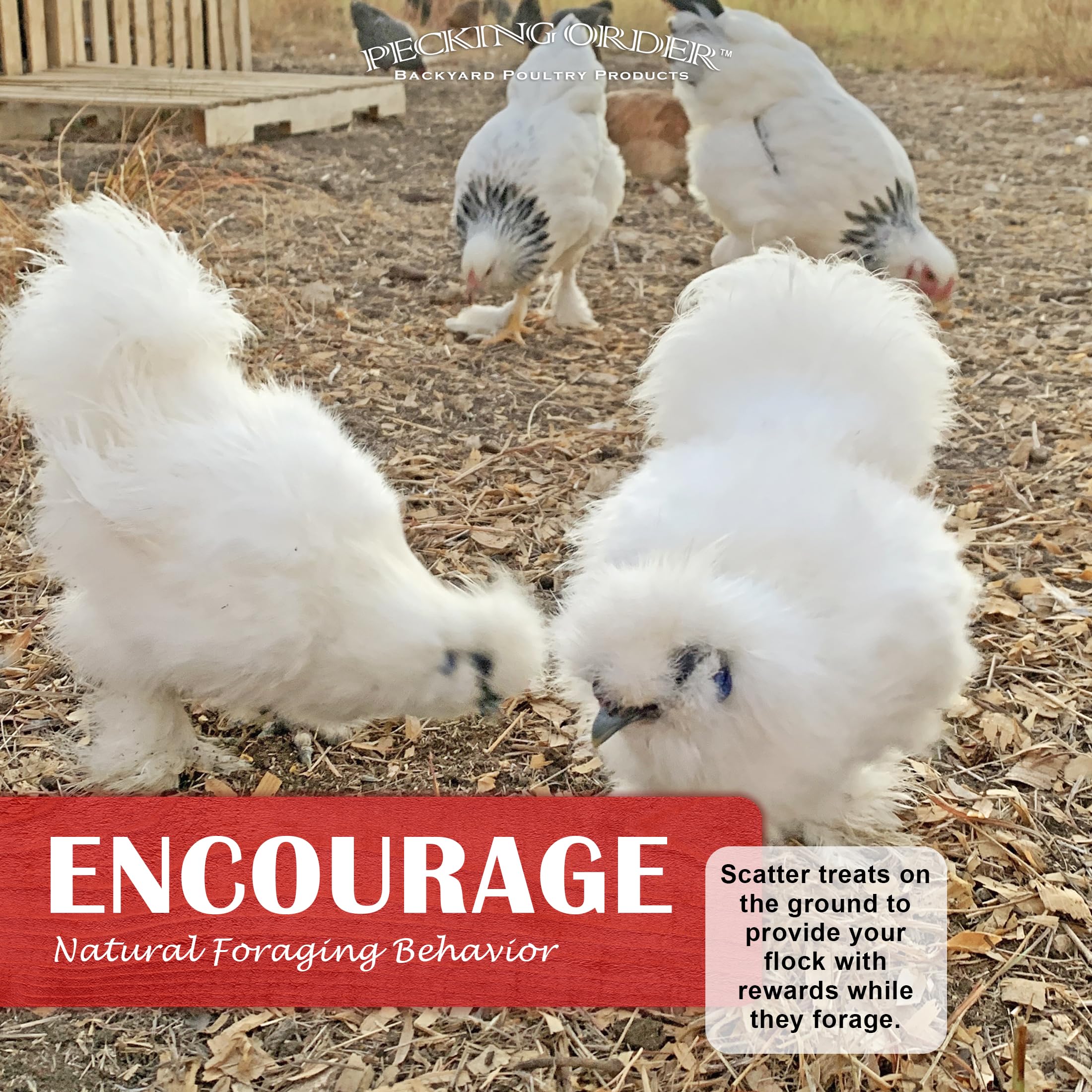 Pecking Order 9328: produit fabriqué aux Etats-Unis avec certification SQF niveau 2.