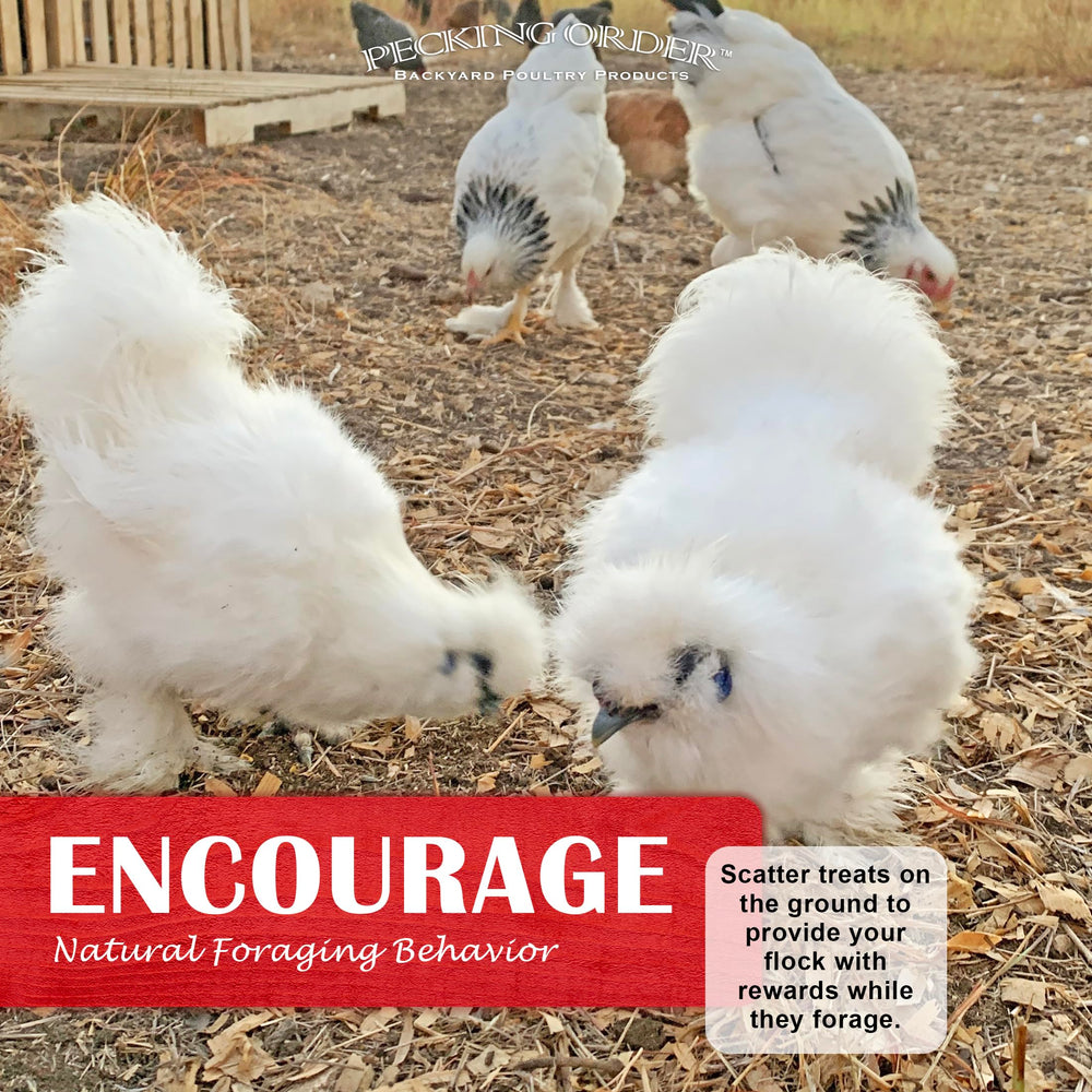 Pecking Order 9328: produit fabriqué aux Etats-Unis avec certification SQF niveau 2.
