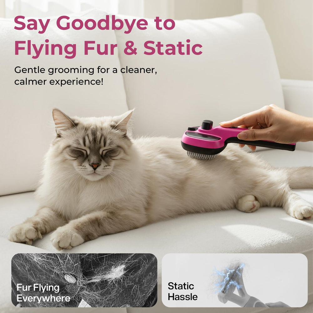 Pecute brosse vapeur chat, autonomie longue grâce à la batterie