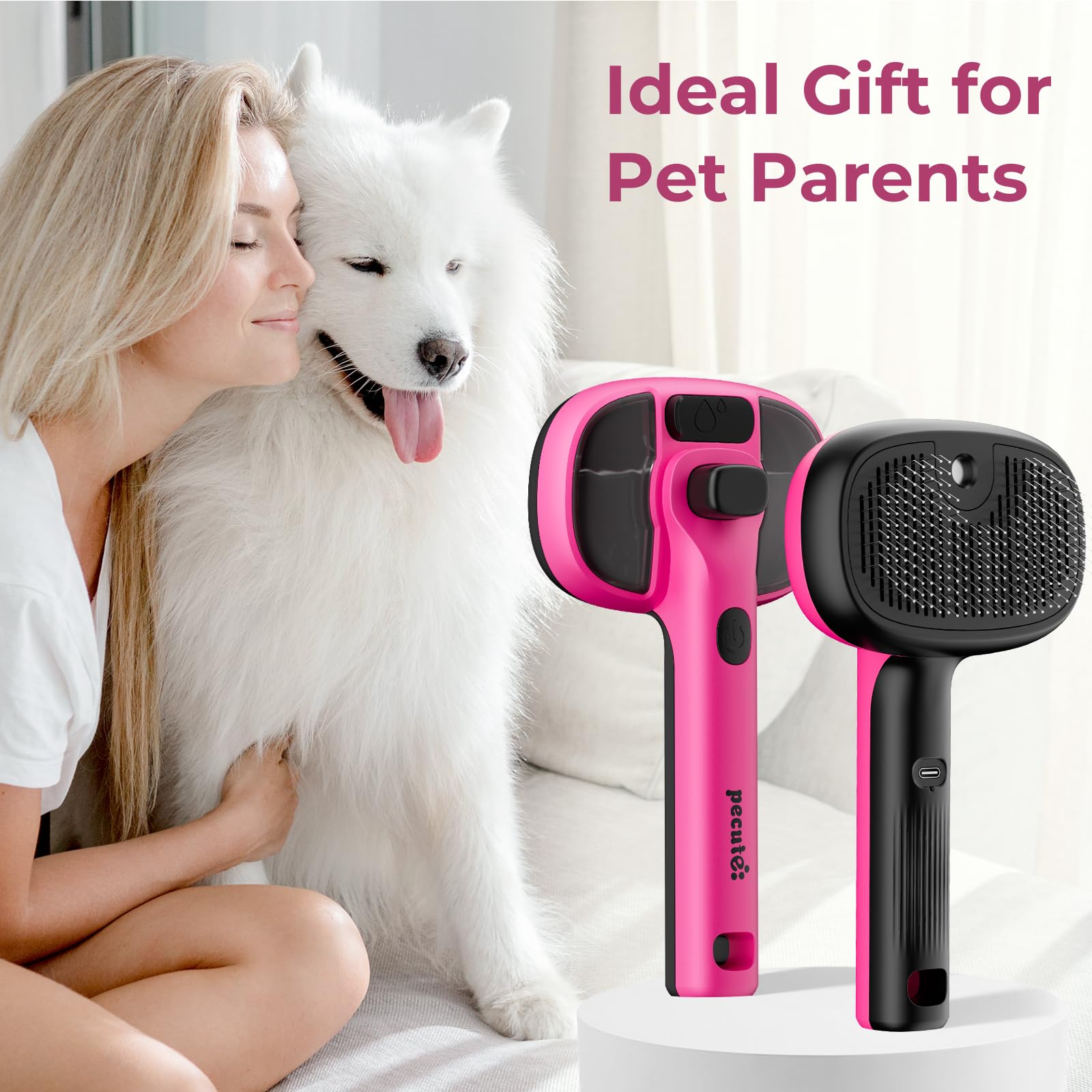 Pecute brosse vapeur chat, charge usb-c universelle