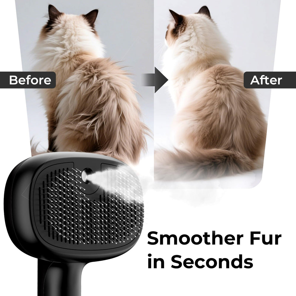 Pecute brosse vapeur chat chargement USB-C pratique et universel