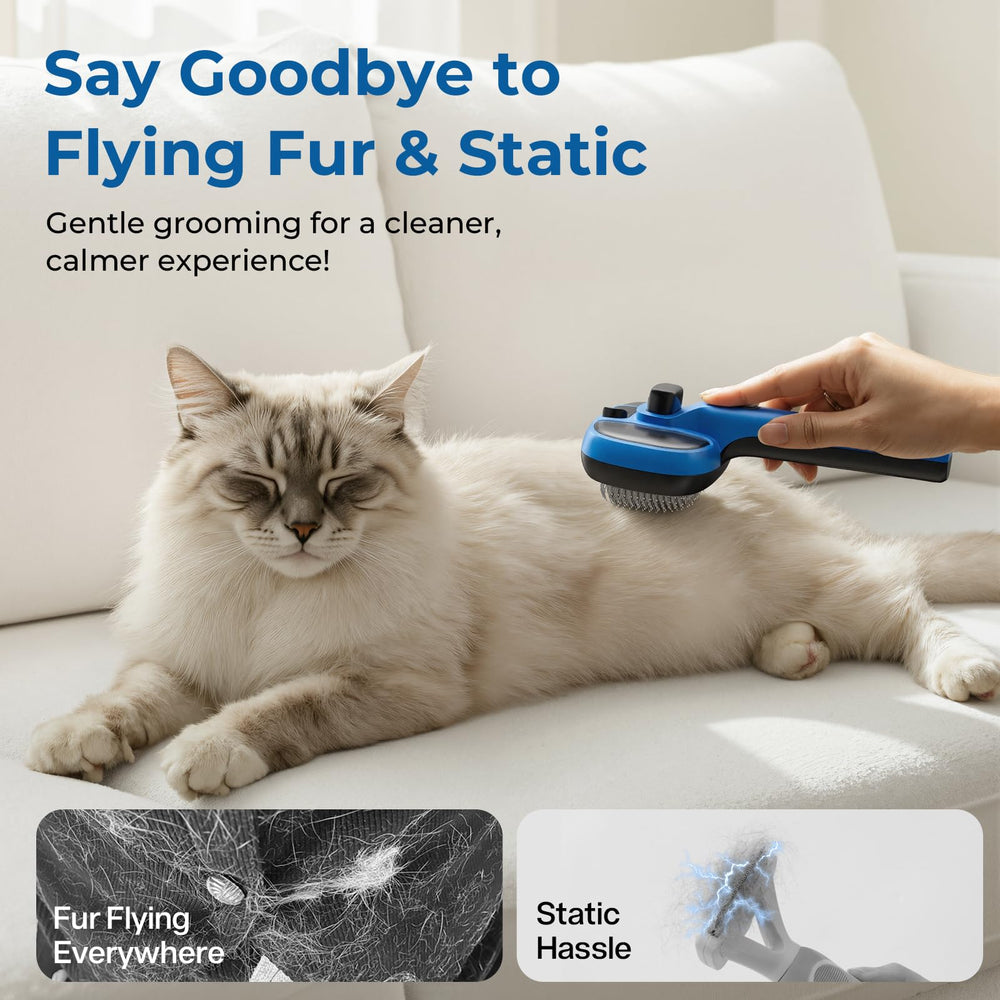 Pecute brosse vapeur chat chargement USB-C pratique
