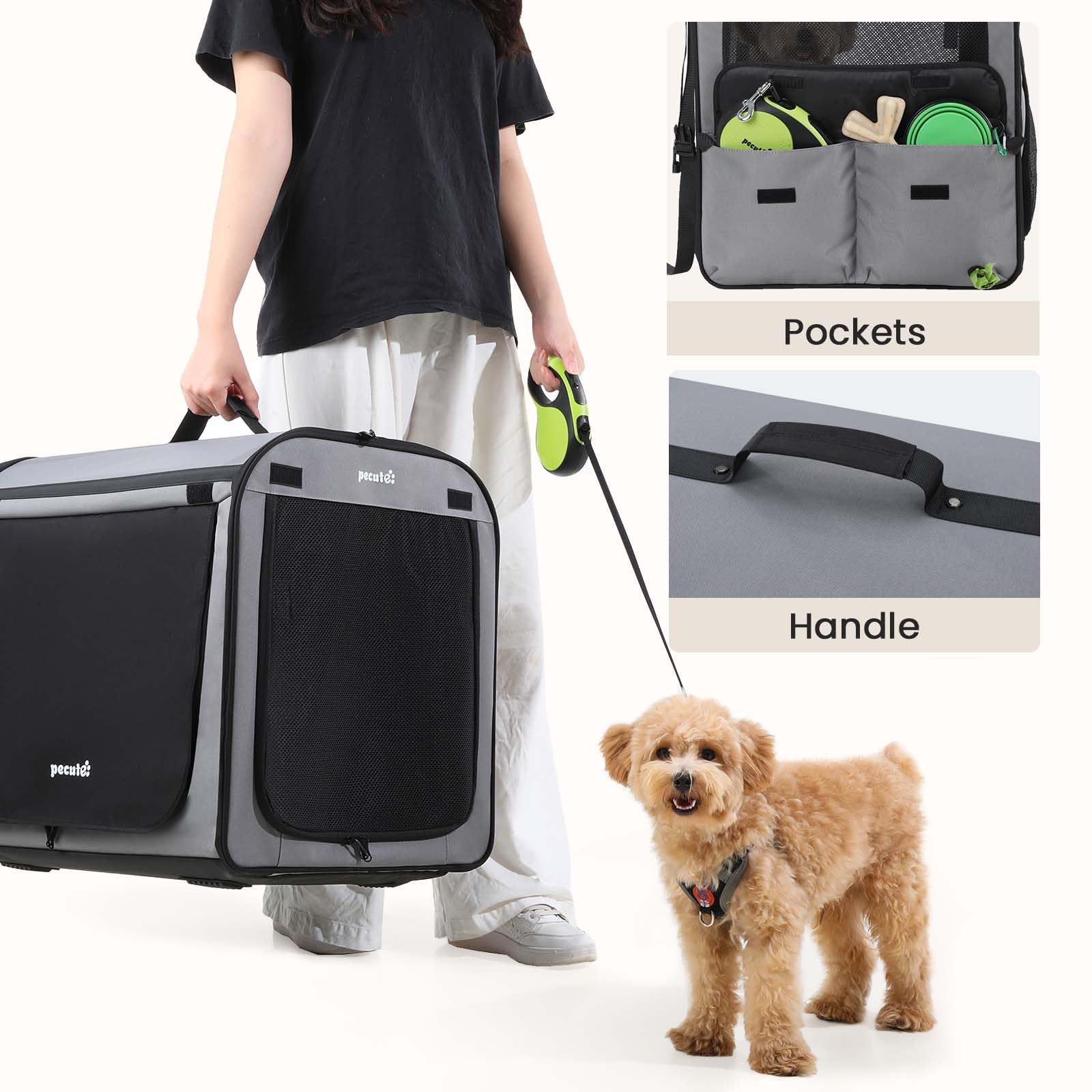Maille et ventilation Pecute, garde votre chien au frais.