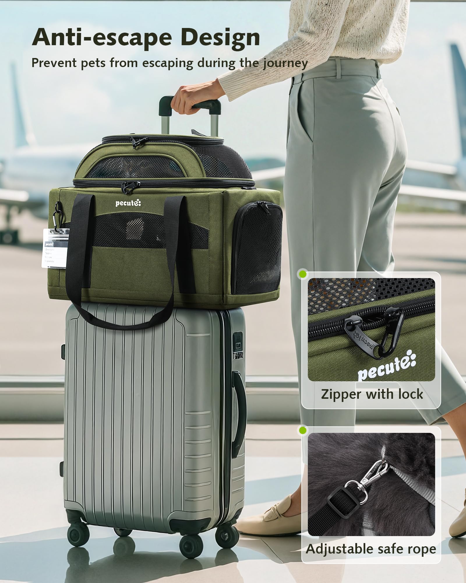 Pecute transporteur avec attache harnais pour empêcher les échappées.