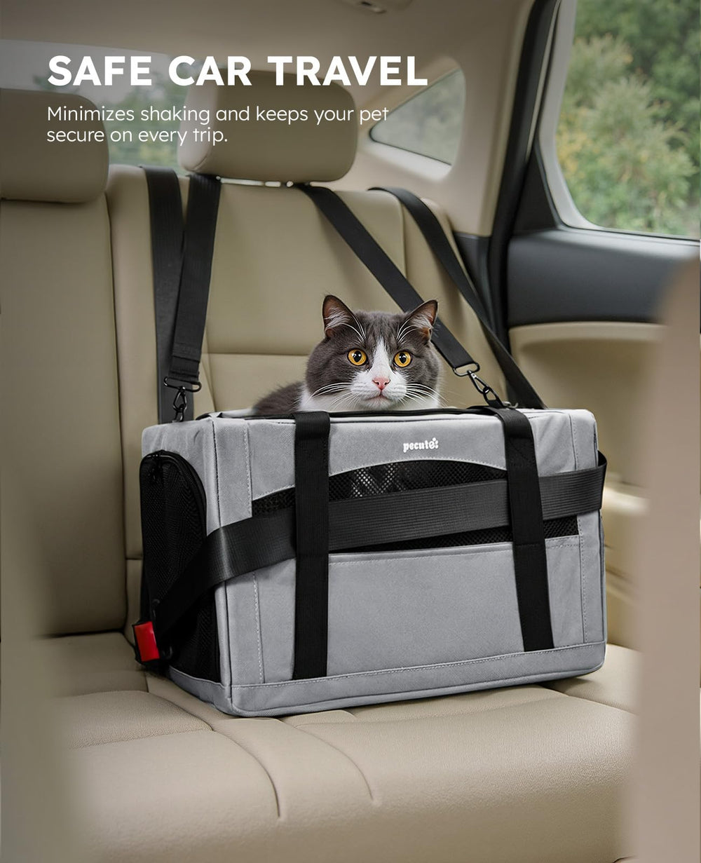Pecute carrier structure en metal – cadre solide pour voyages.