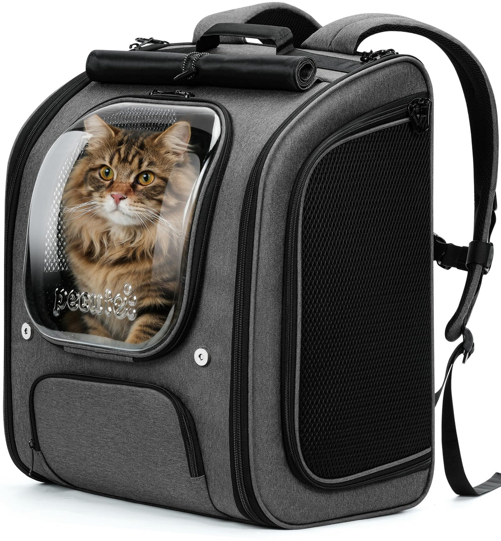 Pecute chat-bulle-sac-a-dos-xl : vue avant offrant une protection et du confort pour le chat en déplacement