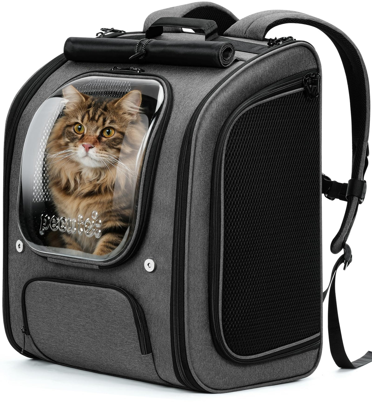 Pecute chat-bulle-sac-a-dos-xl : vue avant offrant une protection et du confort pour le chat en déplacement