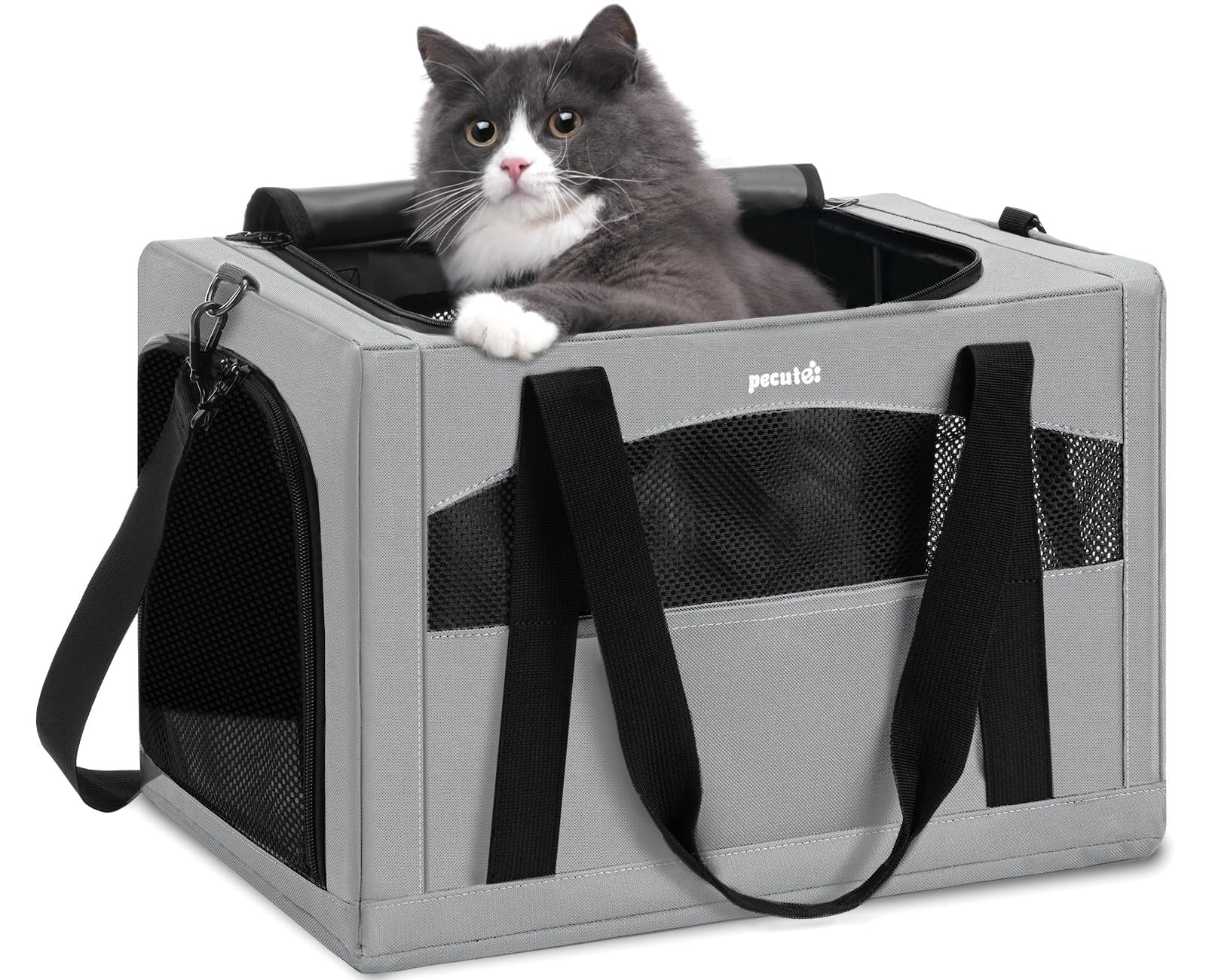 Pecute chat-carrier cadre stable – trajets calmes et sûrs.