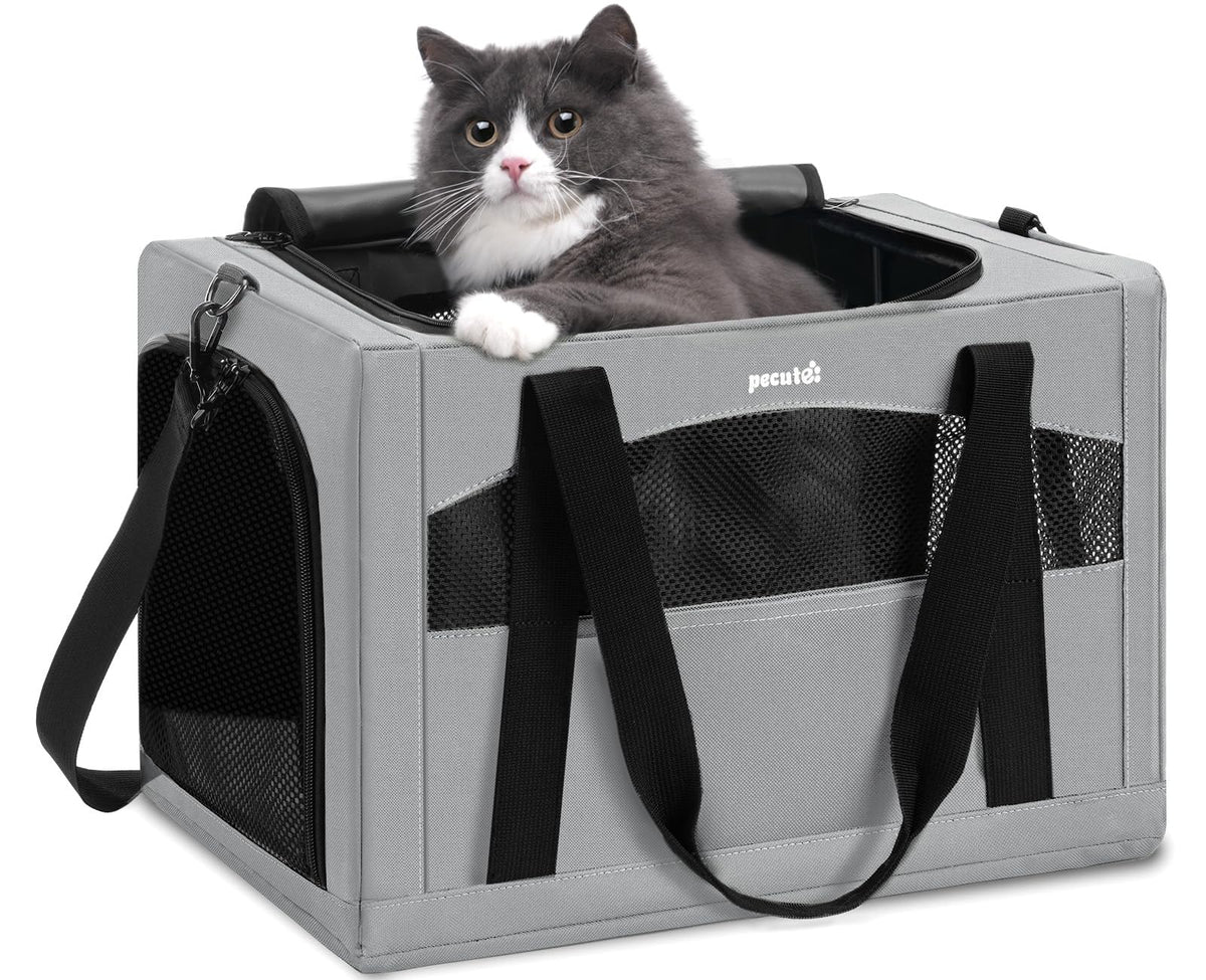 Pecute chat-carrier cadre stable – trajets calmes et sûrs.