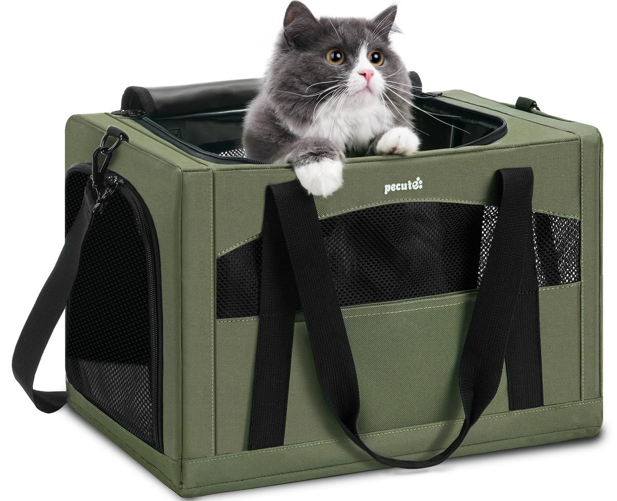 Pecute transporteur pour chat avec cadre stable et sécurité renforcée
