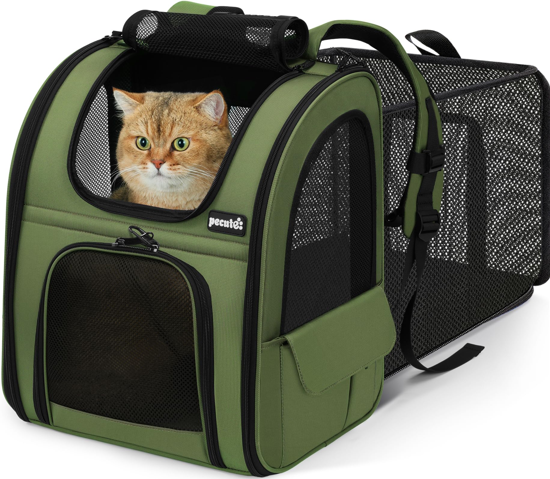 Pecute dos-chat extensible: espace supplémentaire pour le confort en voyage.