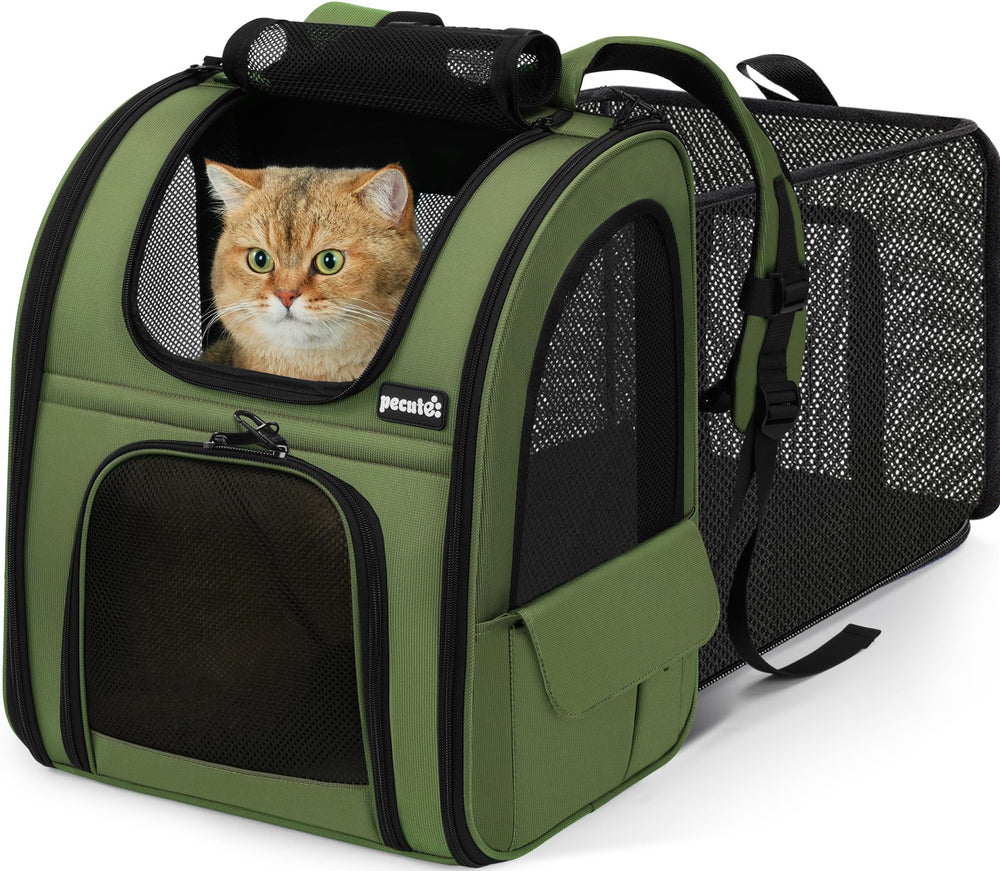 Pecute dos-chat extensible: espace supplémentaire pour le confort en voyage.