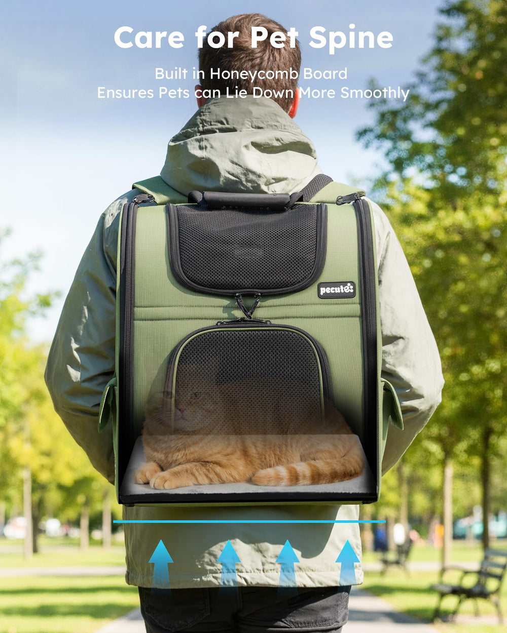 Pecute dos-chat sécurité et fermetures verrouillables prévenant les sorties.