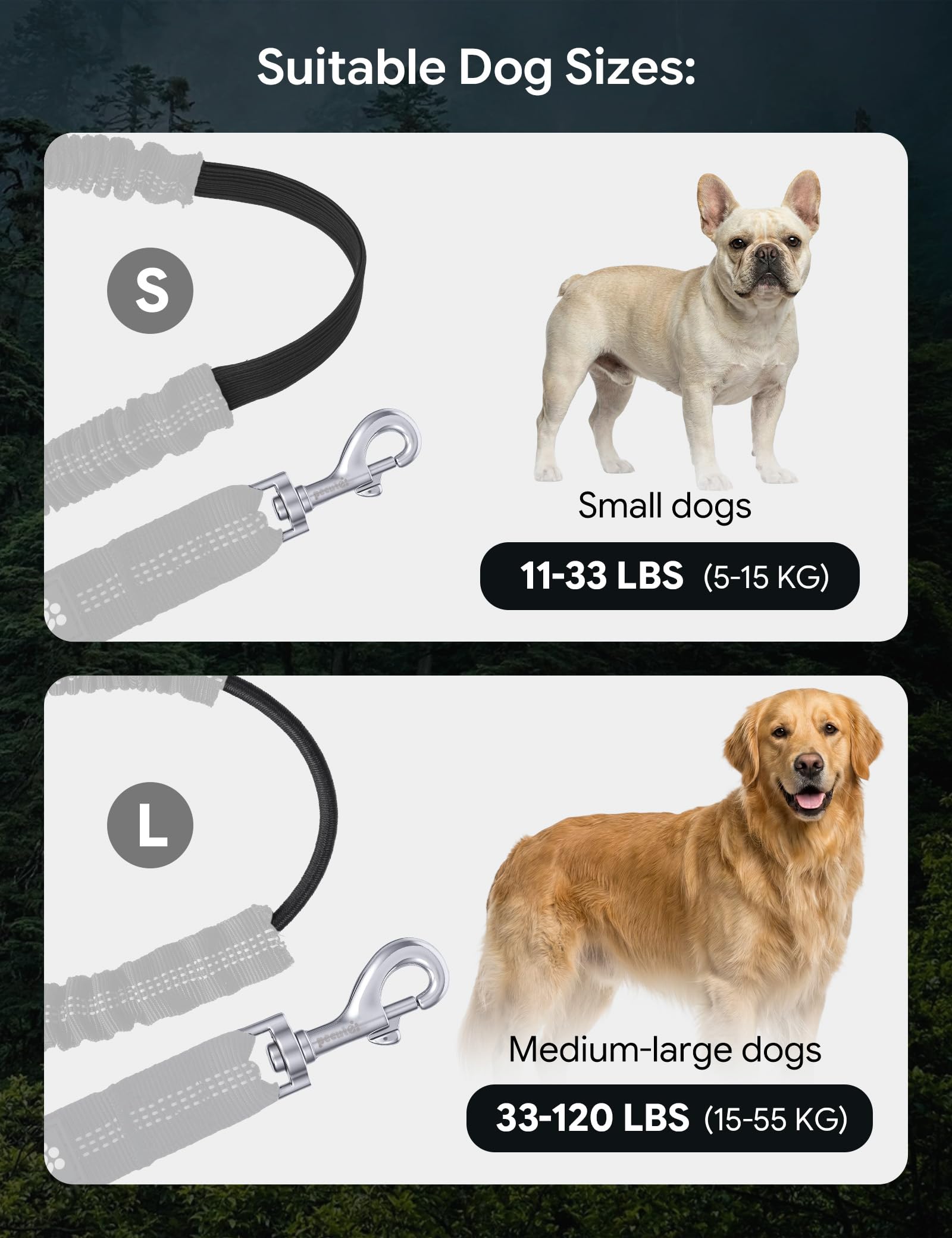 Laisse robuste adaptée aux chiens de 5 à 50 kg pour diverses tailles.