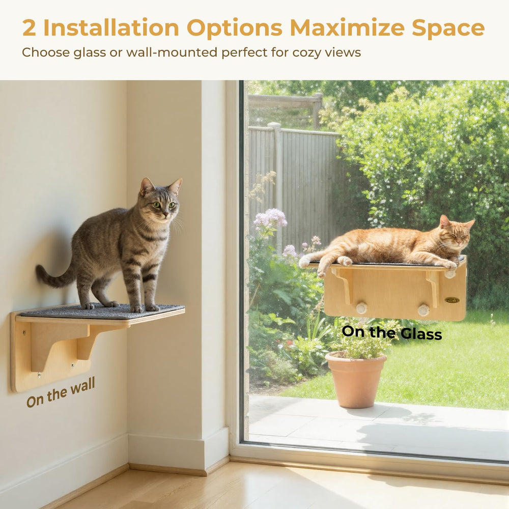 Étagère murale pour chat Pecute avec ventouse, installation flexible et sûre.