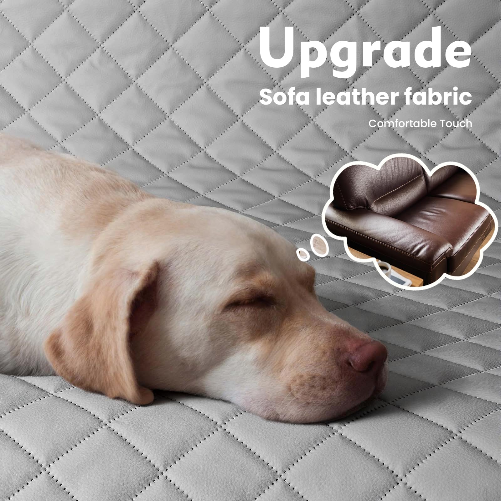 Extenseur Pecute pour siège arrière pliable, optimisation de l’espace pour chien.