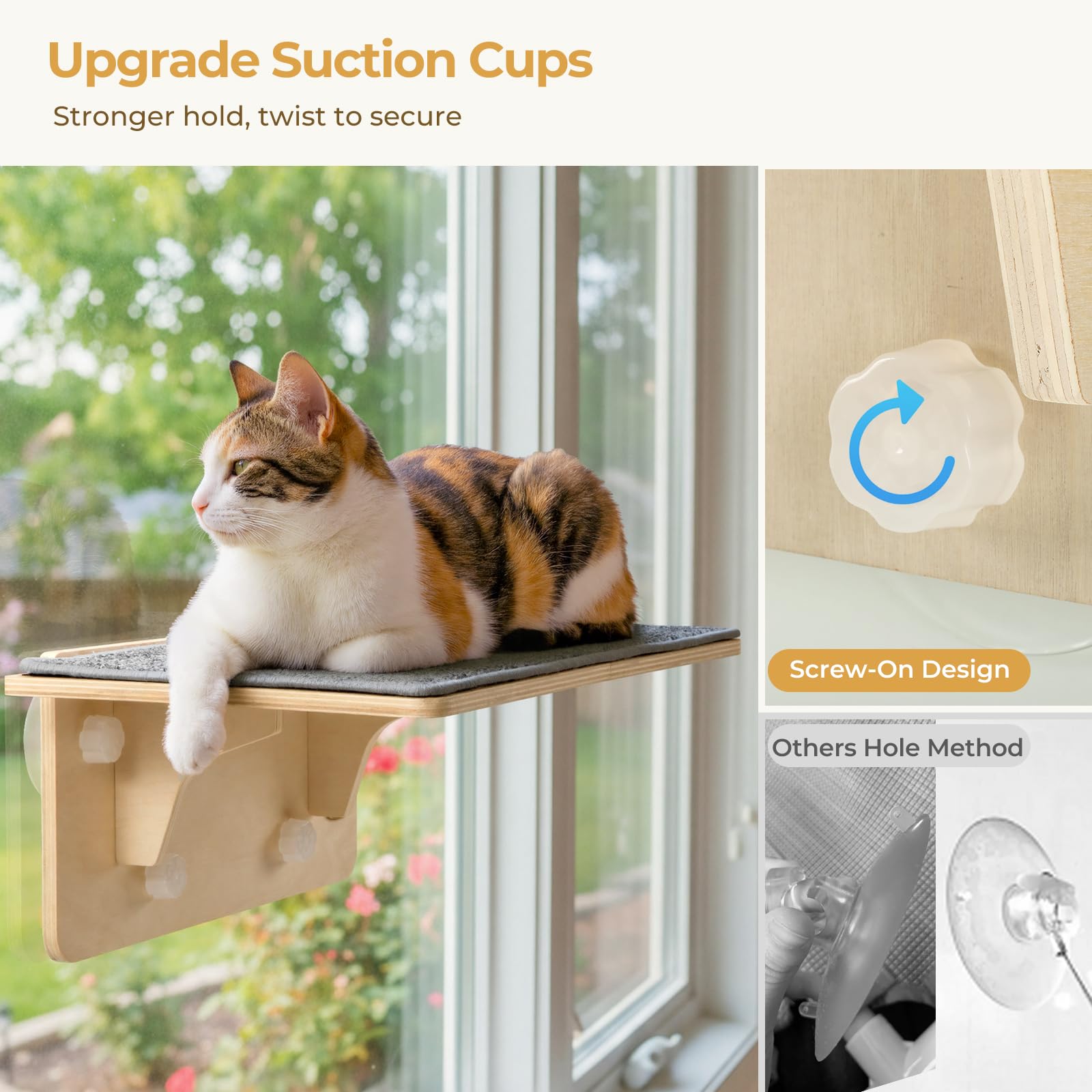 Pecute guide d’installation sûr, conseils pour une fixation stable.