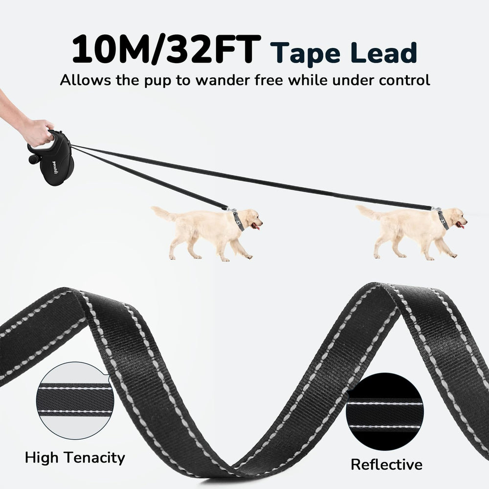 Système de freinage robuste Pecute maîtrisant la distance du chien