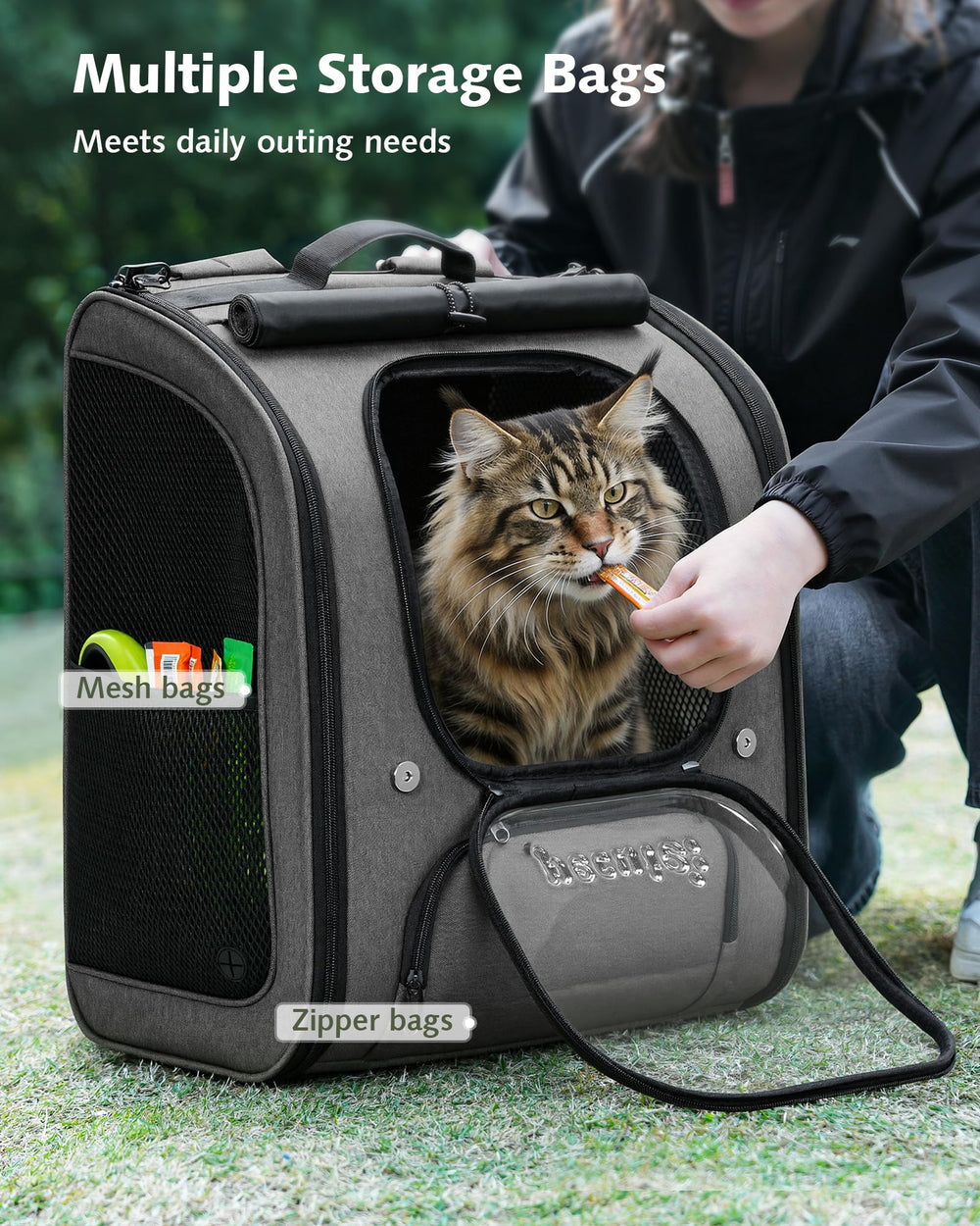 Pecute poids-recommande-chat-xl : guide de compatibilité poids et morphologie du chat