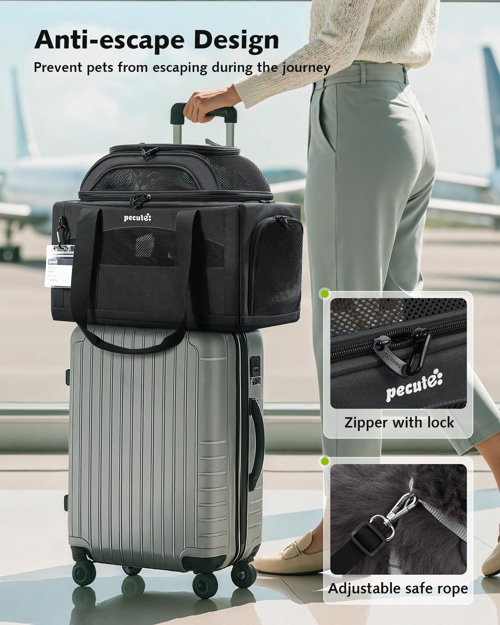 Pecute porte-animaux design pliable : rangement facile