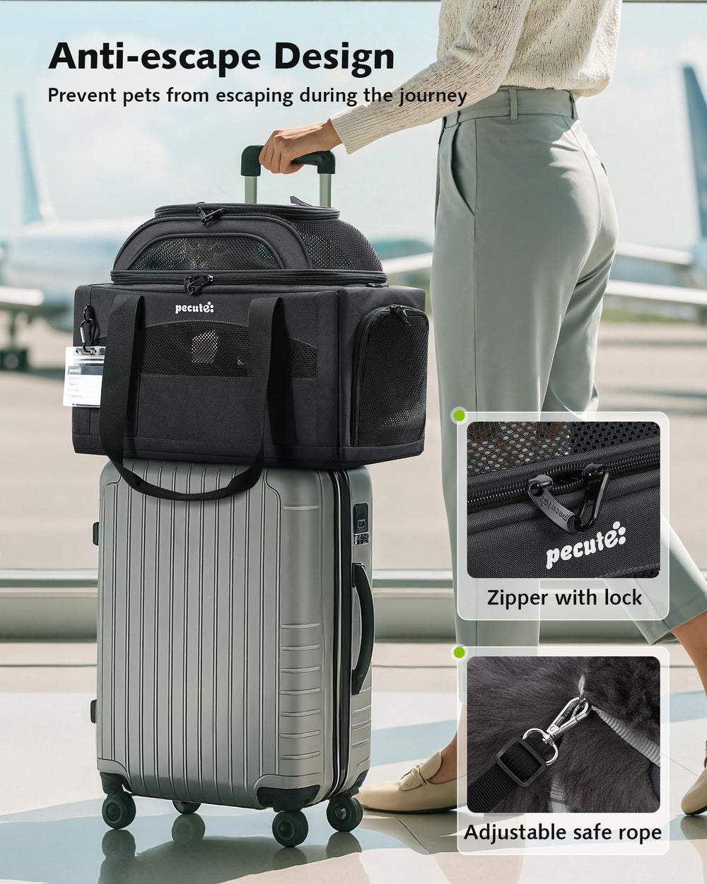 Pecute porte-animaux design pliable : rangement facile