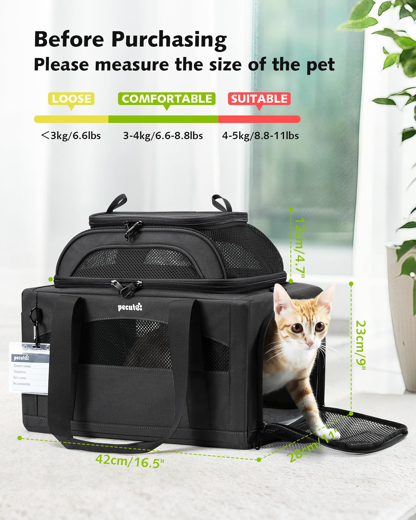 Pecute porte-animaux espace intérieur robuste : confort voyage