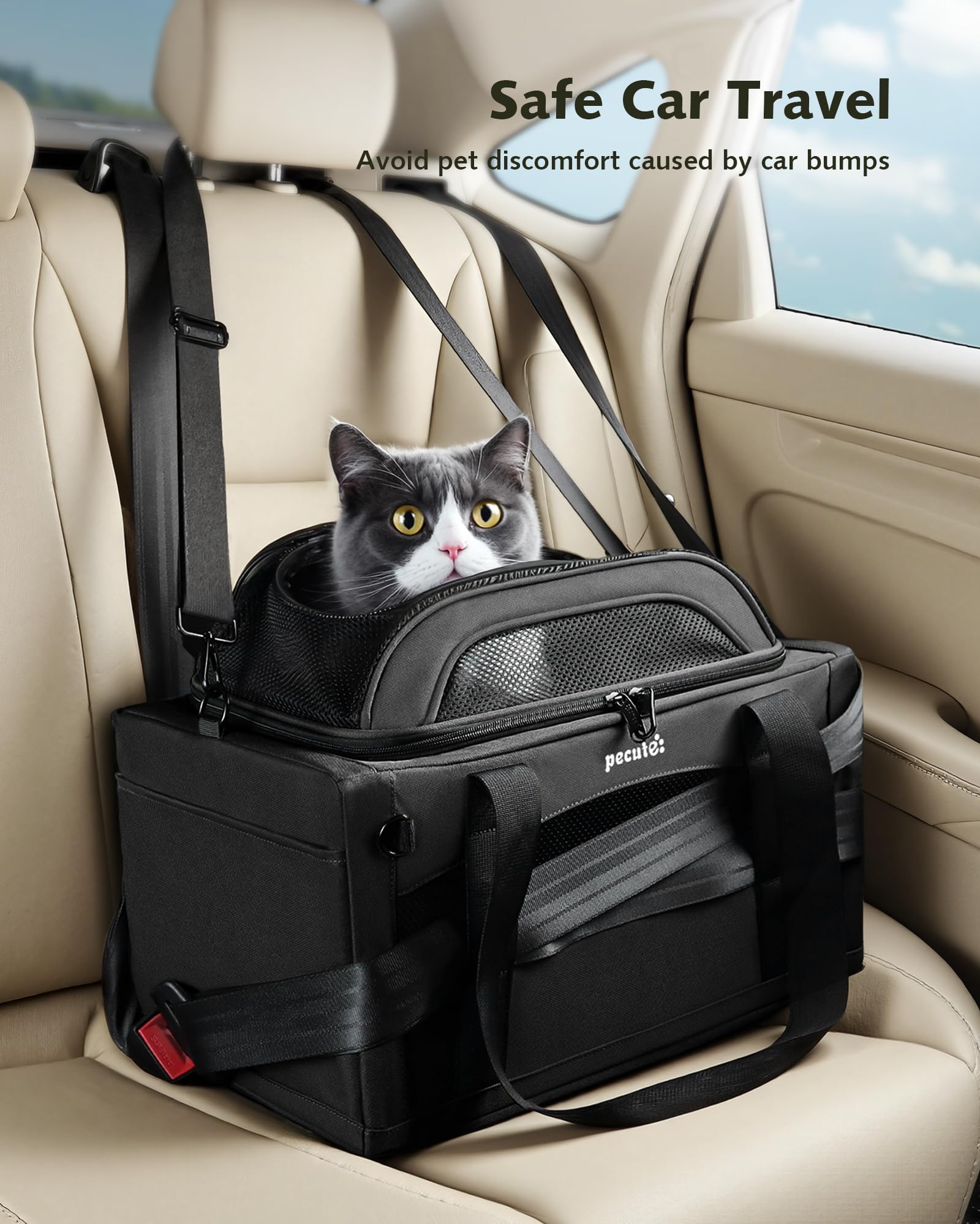 Pecute porte-animaux etiquette identification : sécurité et traçabilité