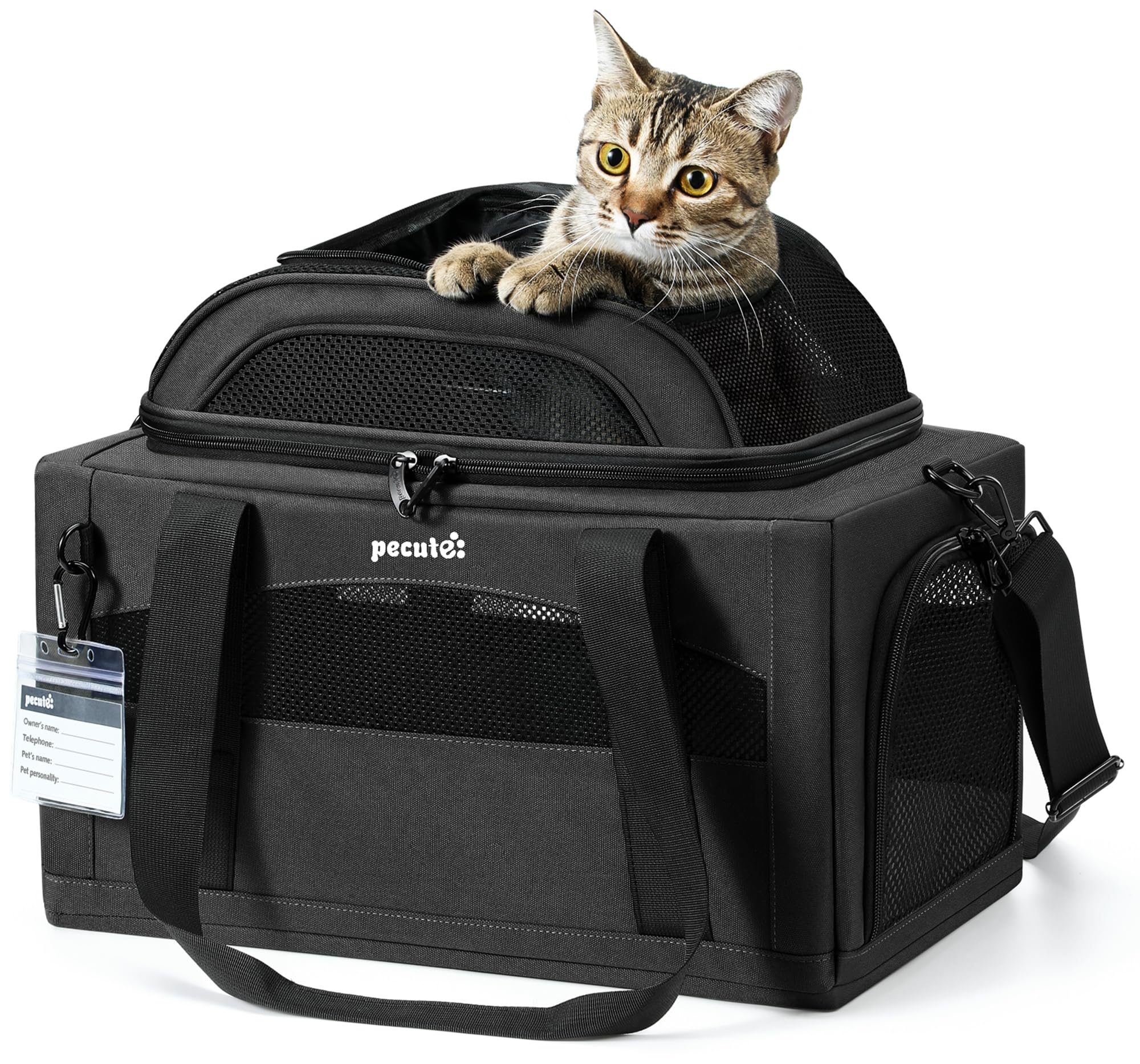 Pecute porte-animaux extensible avion : pratique sous siège pour cabine
