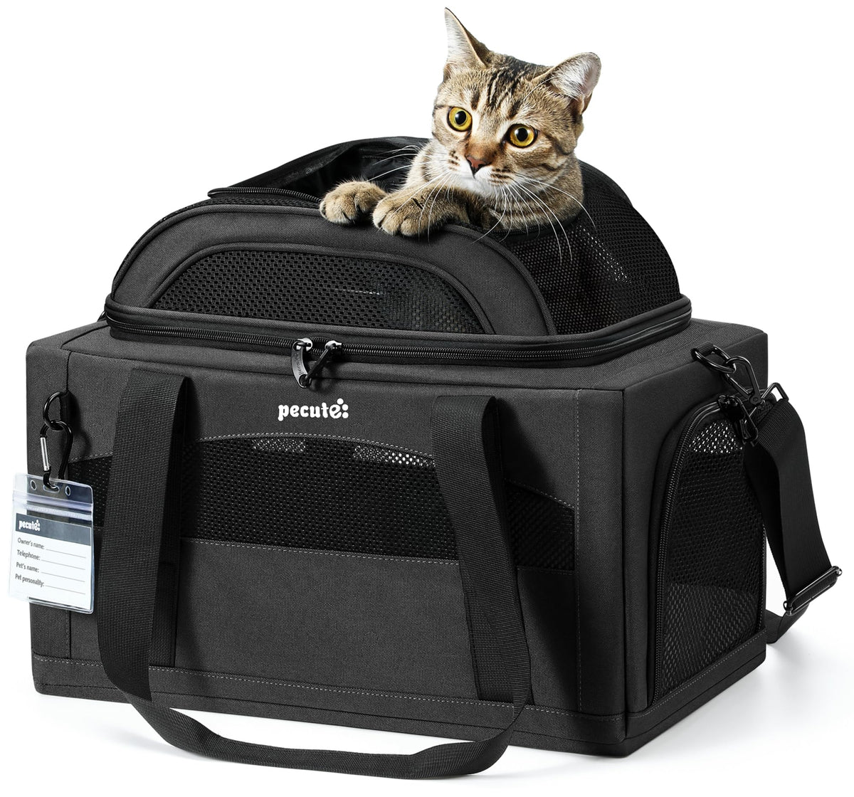 Pecute porte-animaux extensible avion : pratique sous siège pour cabine