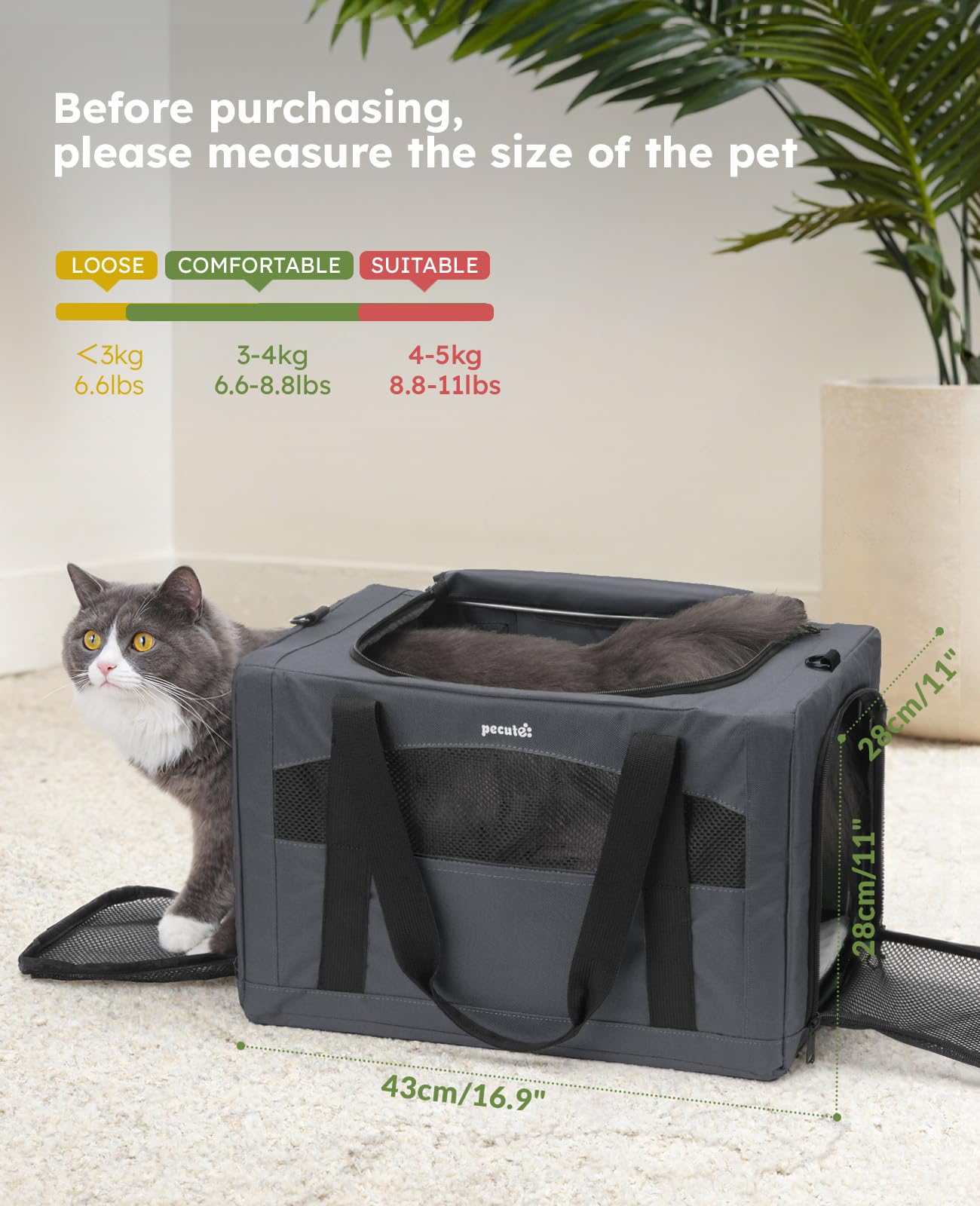 Pecute porte-chat design scientifique et structure robuste adaptée aux voyages.