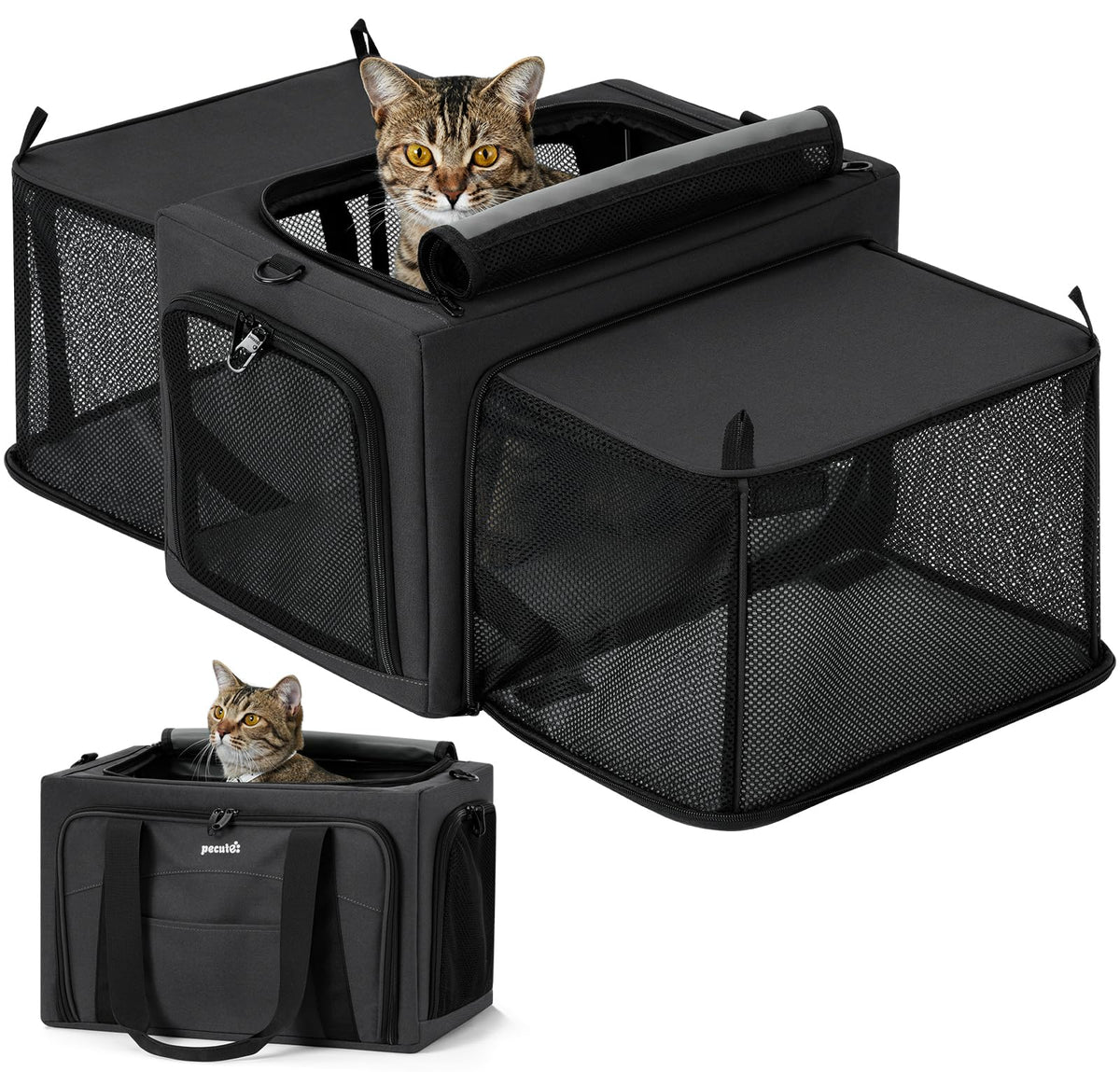Pecute porte-chat extensible avec cadre en acier 5mm pour stabilité.