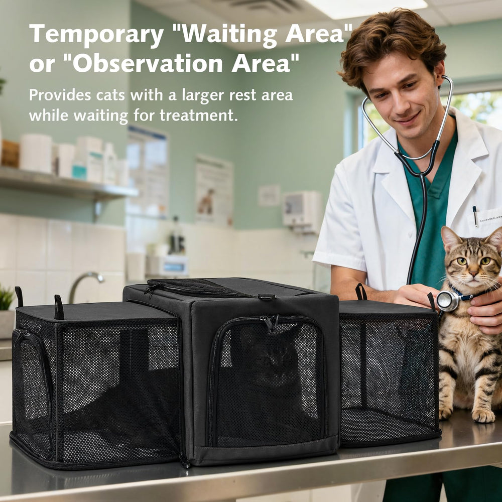 Pecute porte-chat pliable et stockage rapide pour rangement.