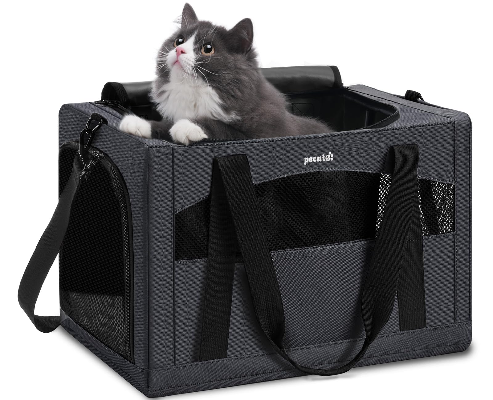 Pecute porte-chat stable avec cadre en métal 5 mm pour voyager en toute sécurité.