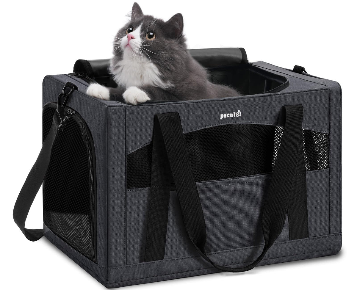 Pecute porte-chat stable avec cadre en métal 5 mm pour voyager en toute sécurité.