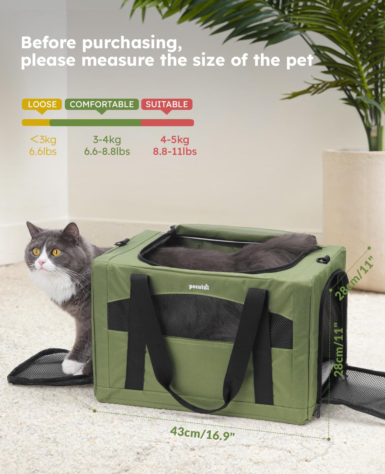 Pecute chambre intérieure douce pour le confort des animaux sensibles