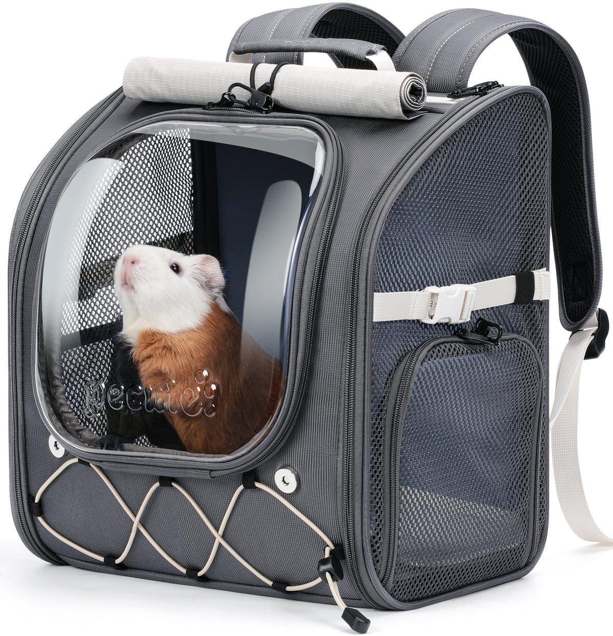 Pecute porteur petits animaux, bulle transparente, interactions facilitées lors du transport.