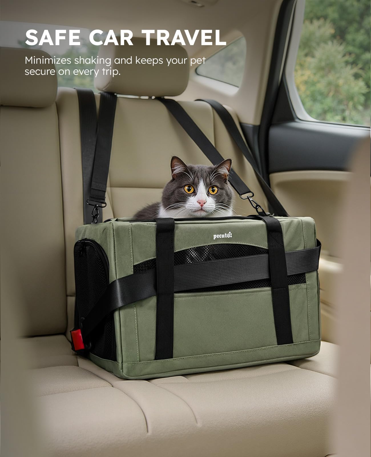 Pecute transporteur sécurité voiture avec sangles et bretelles