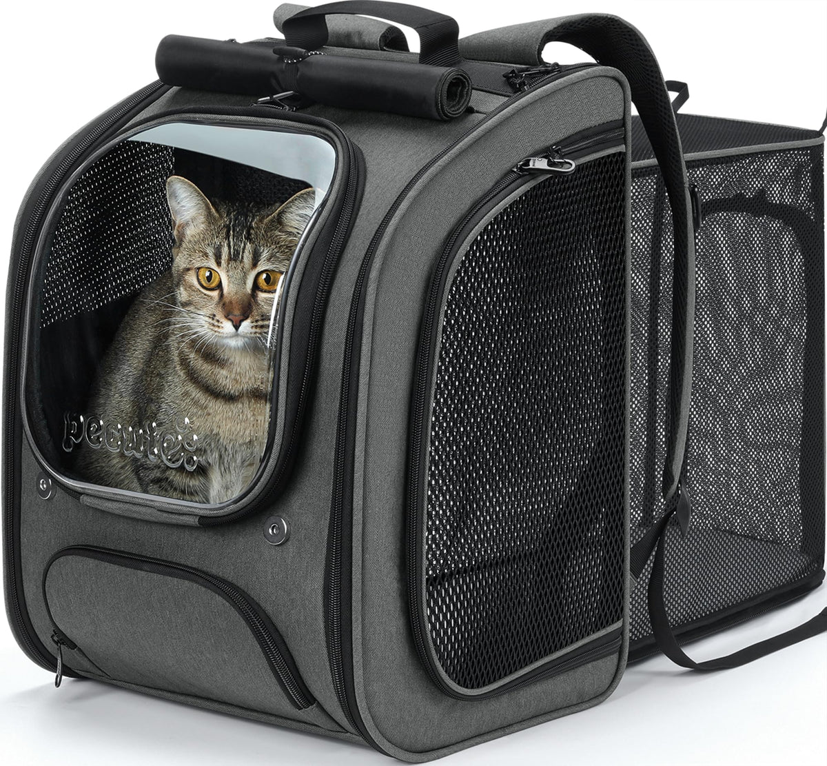 Pecute sac à dos chat bulle grand espace pour voyager en sécurité