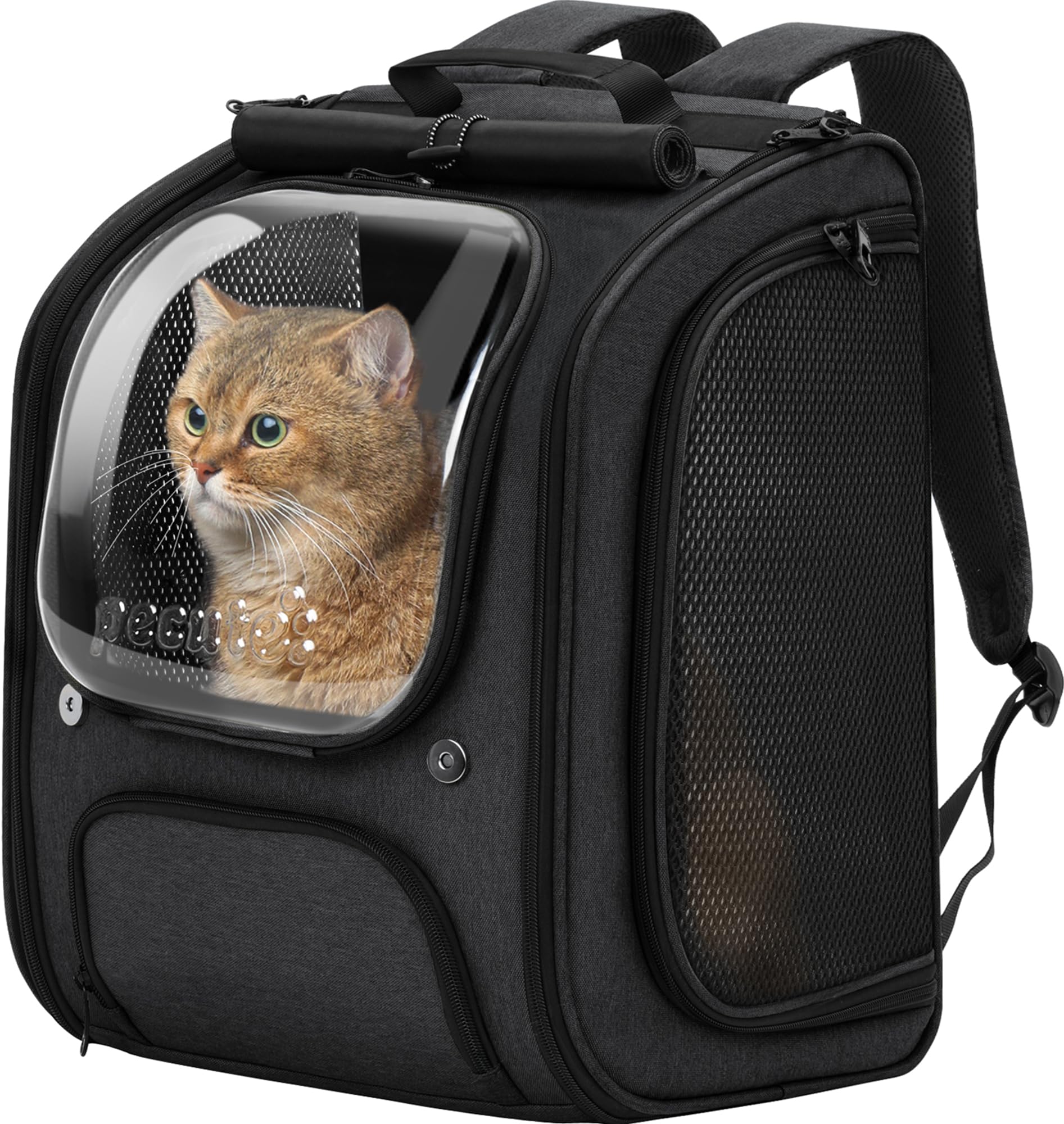 Pecute sac à dos chat bulle spacieux offrant un espace confortable lors des voyages
