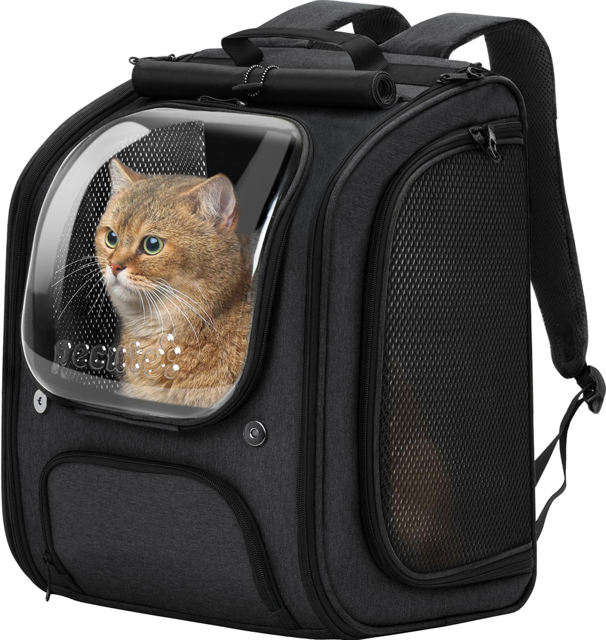 Pecute sac à dos chat bulle spacieux offrant un espace confortable lors des voyages