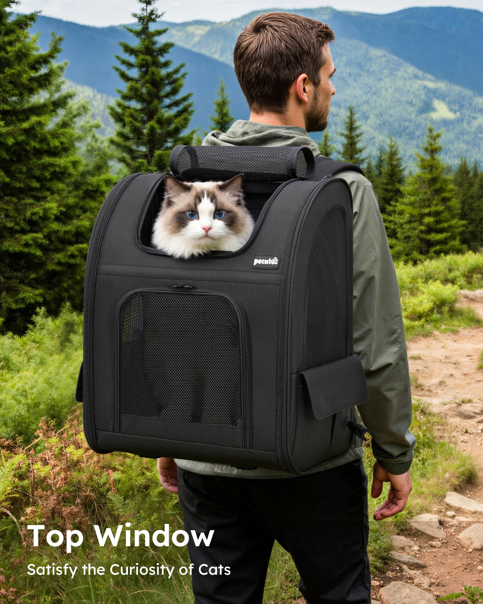 Pecute sac à dos chat confort épaule et dos ergonomique pour sorties longues.