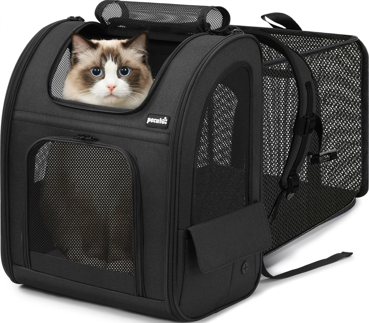 Pecute sac à dos chat extensible offre espace supplémentaire pour le confort en voyage.