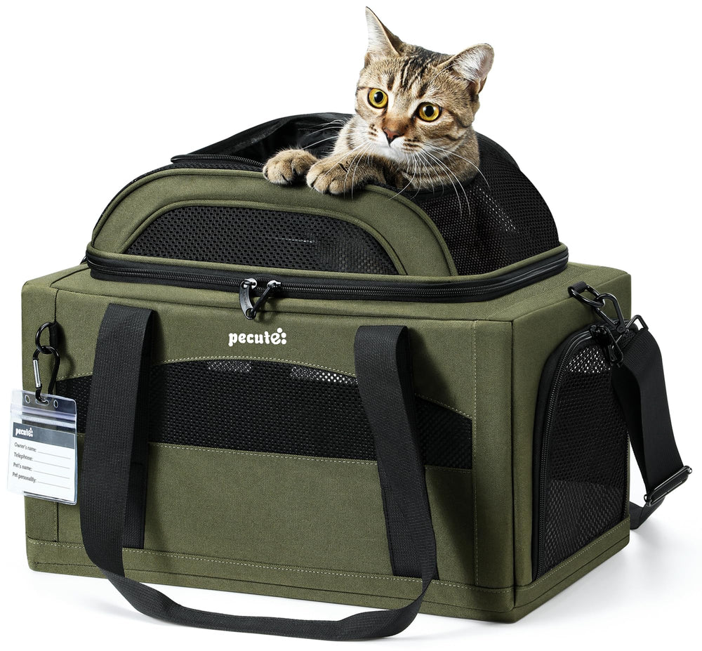 Pecute sac animaux portable approuve avion, se glisse sous le siege.