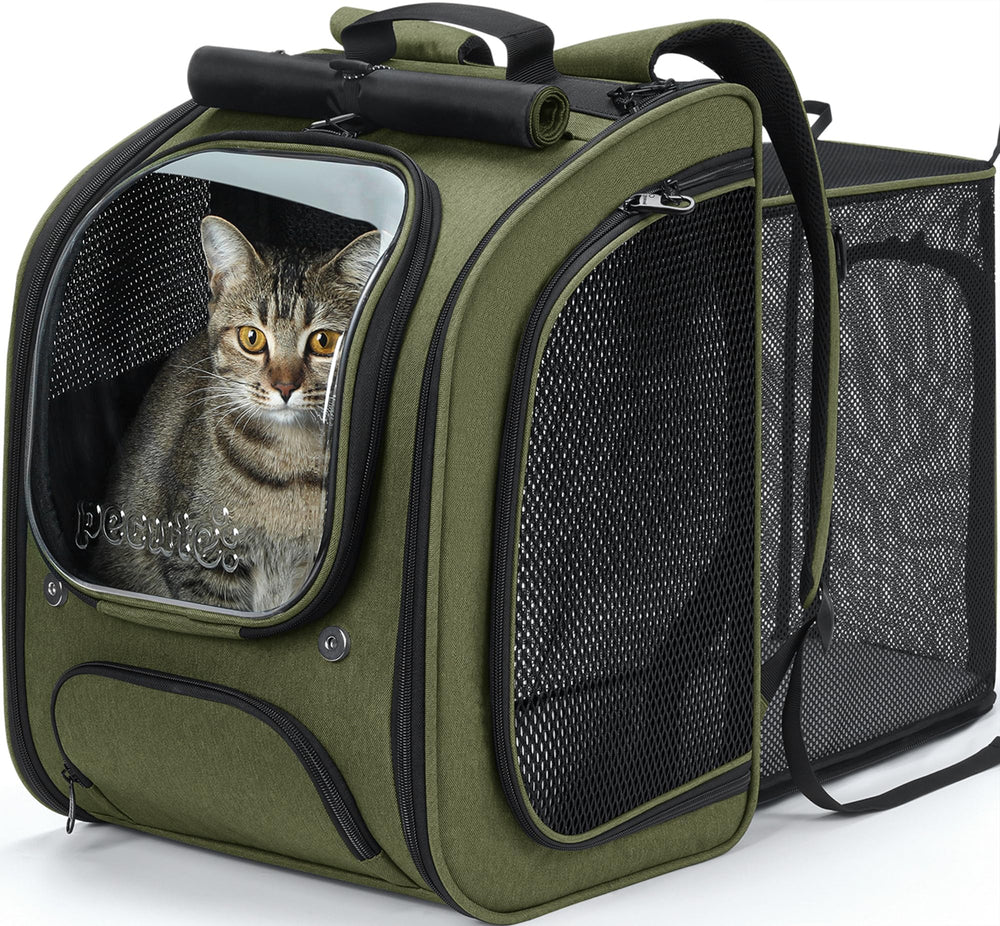 Pecute sac-dos-chat-bulle ouvert, confort et sécurité pour le voyage