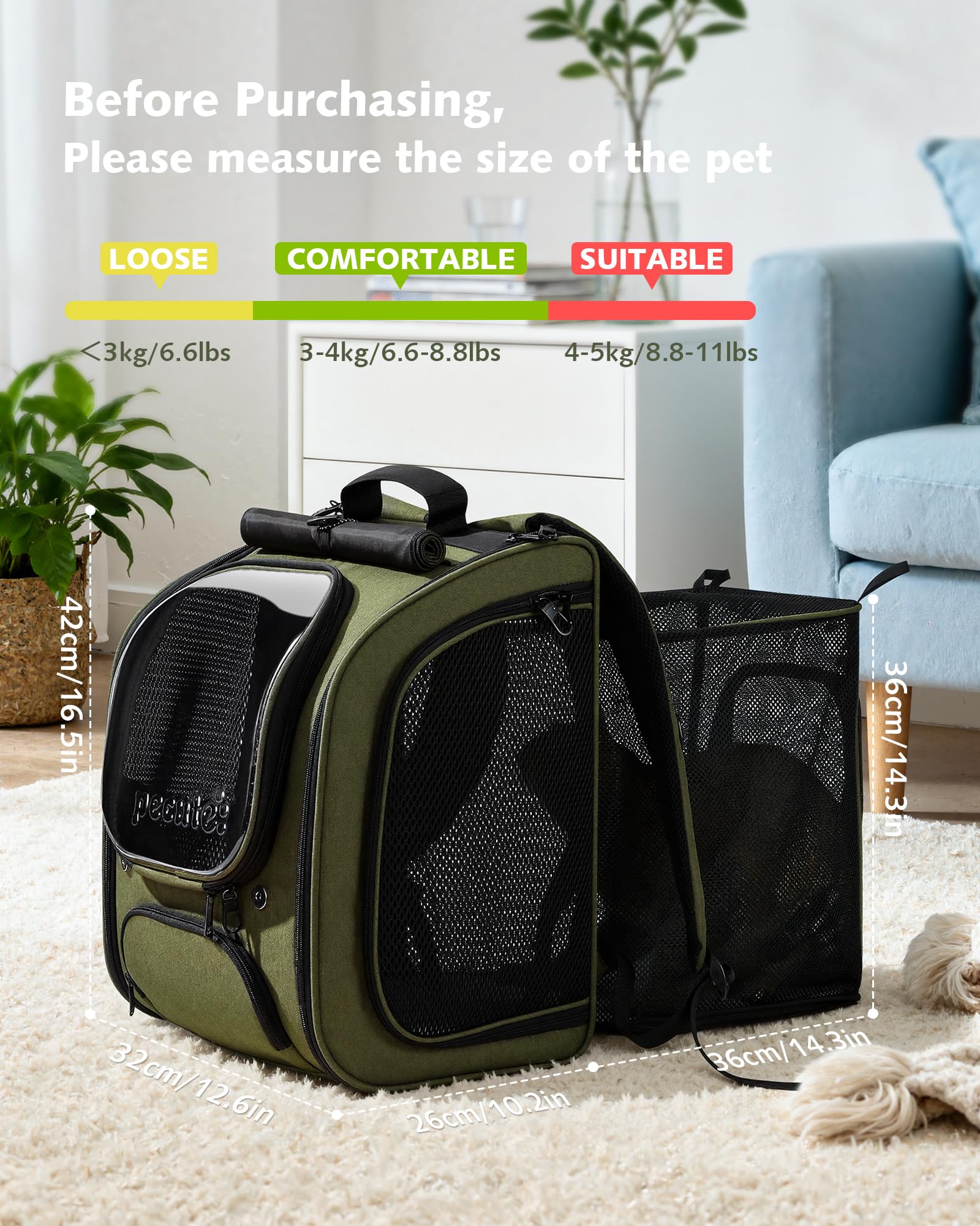 Pecute dimensions généreuses pour chats et petits chiens