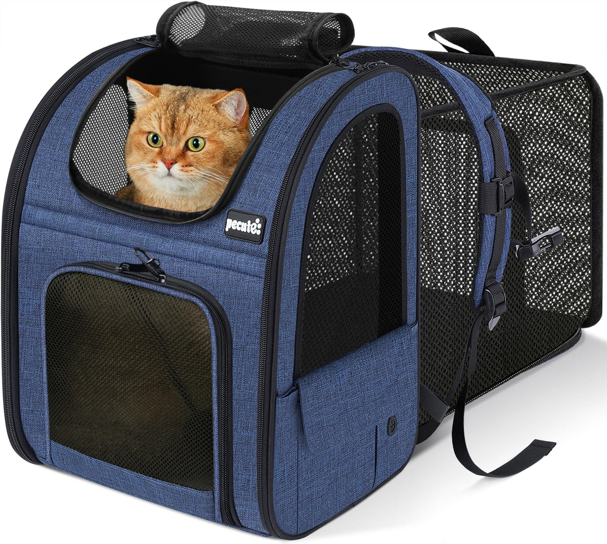 Pecute : aperçu avant du sac-dos-chat avec espace extensible.